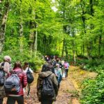 Doğa Yürüyüşü Rehberi: Türkiye'nin En İyi Patika Rotaları
